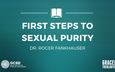 Stormproof Men – First Steps to Sexual Purity E-book