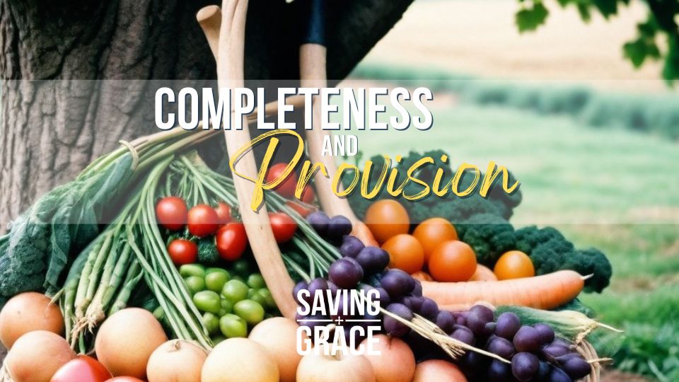 Completeness and Provision